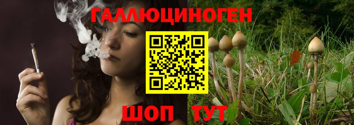 как найти наркотики  Вход с VPN  Можайск  Псилоцибиновые грибы Cubensis 