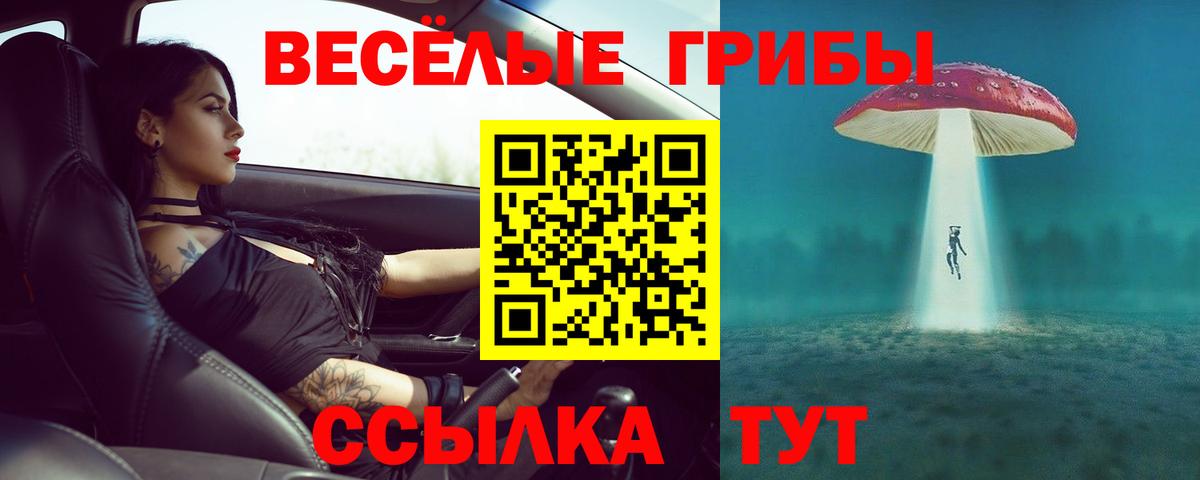Псилоцибиновые грибы Psilocybe Можайск